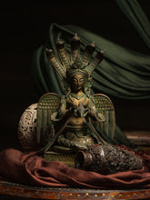Load image into Gallery viewer, Naag Kanya - The Verasaa Collections