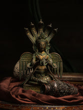 Load image into Gallery viewer, Naag Kanya - The Verasaa Collections