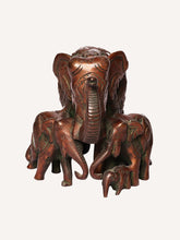 Load image into Gallery viewer, Matang Parivar - The Verasaa Collections