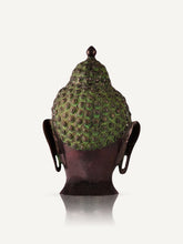 Load image into Gallery viewer, Bhudda Bust - The Verasaa Collections